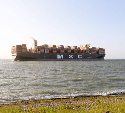 MSC loreto global trade